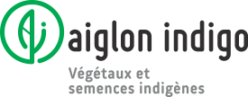 Aiglon indigo - végétaux et semences indigènes